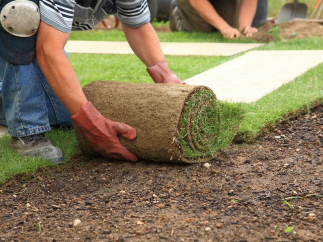 Graszoden aanleggen in Gelderland