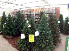 Kunstkerstbomen kopen tuincentrum bij Hengelo