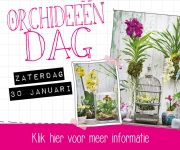 Orchideeëndag