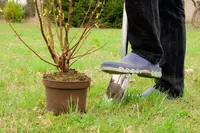 Het najaar is 'de tweede lente' in de tuin!