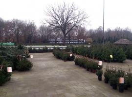 Kerstbomen Doetinchem | Tuincentrum Vriezen is al jaren speciialist.