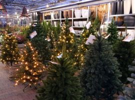 Kunstkerstbomen Doetinchem | Tuincentrum Vriezen is de specialist.